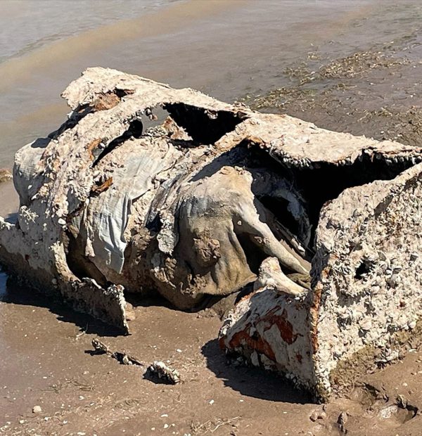 Decomposed body found in barrel on shore of drying Lake Mead in Nevada