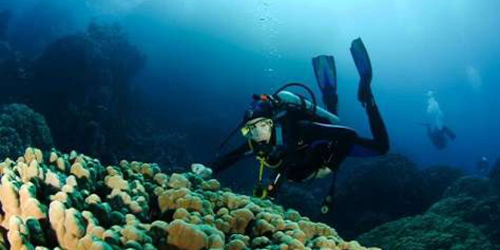 Diving in Marsa Alam