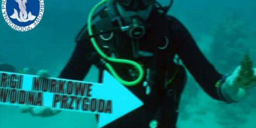 Film trailer for the diving fair “Underwater Adventure”