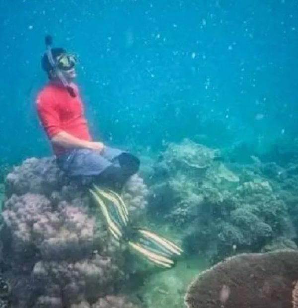Thailand - Diver facing 10 years in prison for destroying coral reef