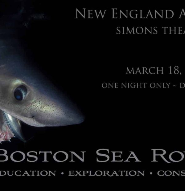 The Boston Sea Rovers are proud to announce the 70th International Ocean Symposium and Film Festival